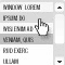 Flash list