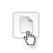 Flash button